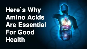 DoctorHub360.com Amino Acids: Your Ultimate Guide to Health and Wellness